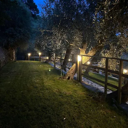 Luly Dachi Farm *
